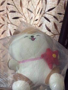 Cute Plushie Doll