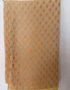 Elegant Beige Saree