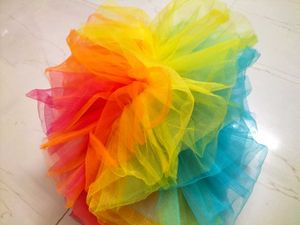 Rainbow Tutu