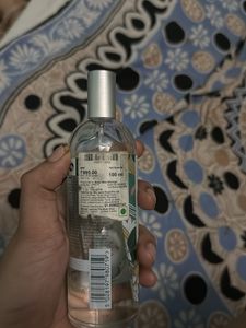 The Body Shop Moringa