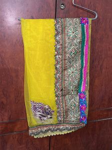 Colourful Lehenga Choli
