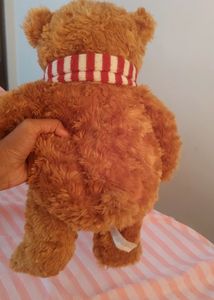 Teddy Bear
