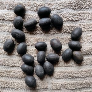 Original Kamal Gatta Lotus Seeds 21 Pcs Lakshmi P