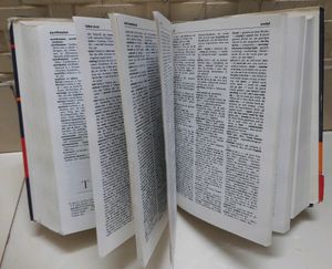 OXFORD DUDEN German To English DICTIONARY