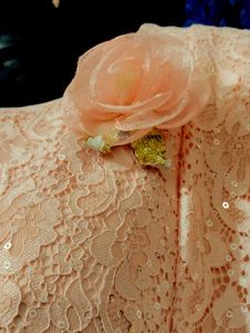 Elegant Pink Lace Dress For Girls