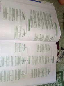 Xam Idea Social Science Class 10 (2024-25)