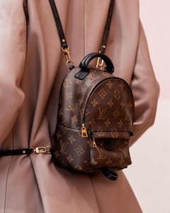 ask before- Louis Vuitton Mini Backpack