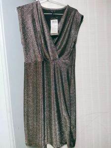 Sparkly Silver Sheath Dress........