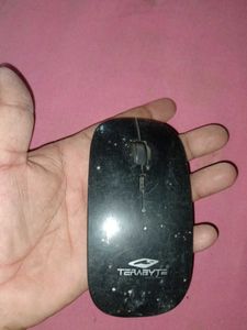Mouse
