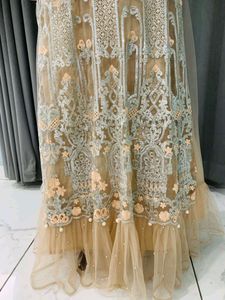 Party Wear Ethnic Gown