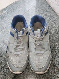 Men's Casual Grey Shoes