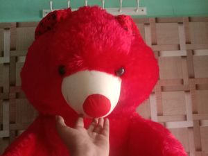 Taddy Bear