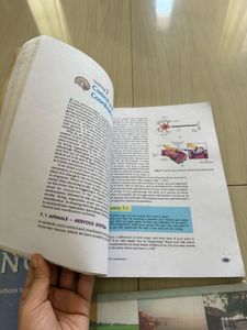 Textbooks - Class IX &amp; XI and X .