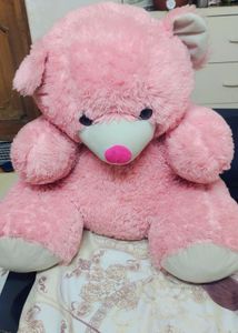 Giant Pink Teddy Bear