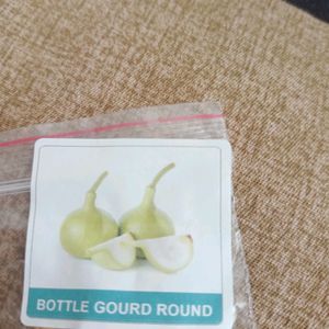 Different Gourds Seeds