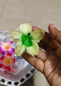 Pinterest Hair Claws At Affordable Price Each 35rs