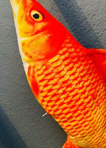 Vibrant Fish 🐟 Toy 🧸