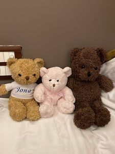 Adorable Teddy Bear Trio