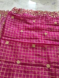 Organza Cut Work Checks Dupata