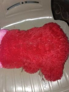 Red Teddy Bear with Pink Heart
