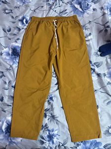 Mustard Casual Pants