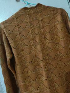 Cardigan (Winter Wear)