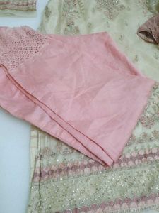 Organza Partywear Suit