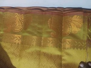 Golden Weave Saree