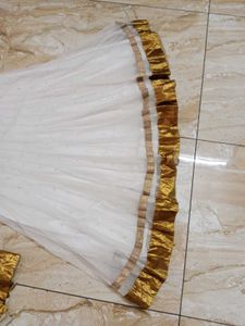 White Net Skirt, Dupatta And Black Crop Top