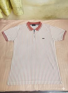 Striped Women Polo Top