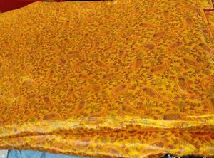 Paisley printed saree