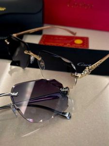 Cartier Unisex Premium Sunglasses