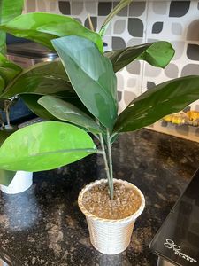 Artificial Plants