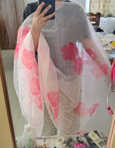 Baby Pink Organza Hand Painted Dupatta