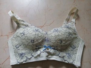 Bra, Bust Size 36