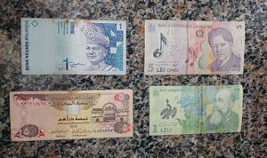 Foreign Currency Notes