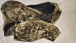 Elegant Bronze Saree with Velvet Blouse