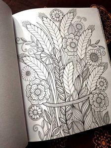 Coloring Book for Adults