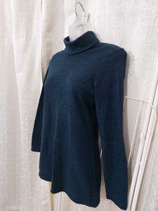 Shiny Turtleneck Top