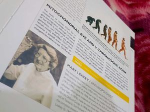 National Geographic Answer Book