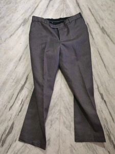 Urban Spirit Button Down