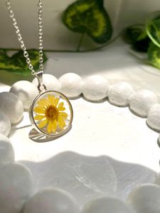 Elegant Daisy