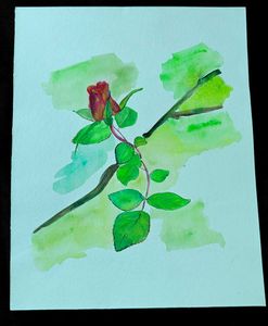 Rose Flower Watercolor Painting