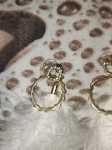 Feather Dangle Earrings