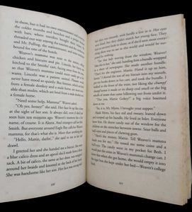 A Gathering Light by Jennifer Donnelly