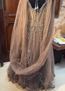Plus Size Elegant Ethnic Gown