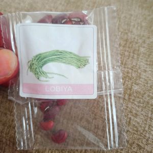 Variety Of Beans Seeds