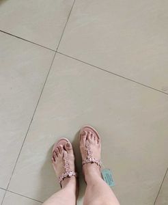 Steppings Footwear