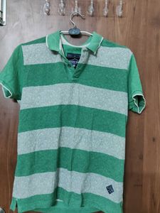 Less Used Striped Green Polo Shirt