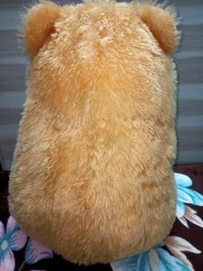 Cute Teddy Bear